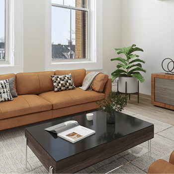 Large windows